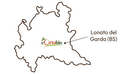 GLOMUS BIO | Cortobio - Lonato del Garda (BS) GLOMUS BIO | Cortobio - Lonato del Garda (BS)