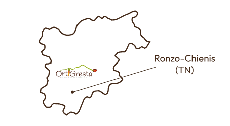 GLOMUS BIO | Ortigresta - Ronzo Chienis (TN) GLOMUS BIO | Ortigresta - Ronzo Chienis (TN)