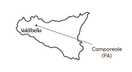 GLOMUS BIO | Valdibella - Camporeale (PA)